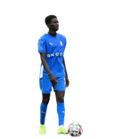 Yakubu Dauda Jaji